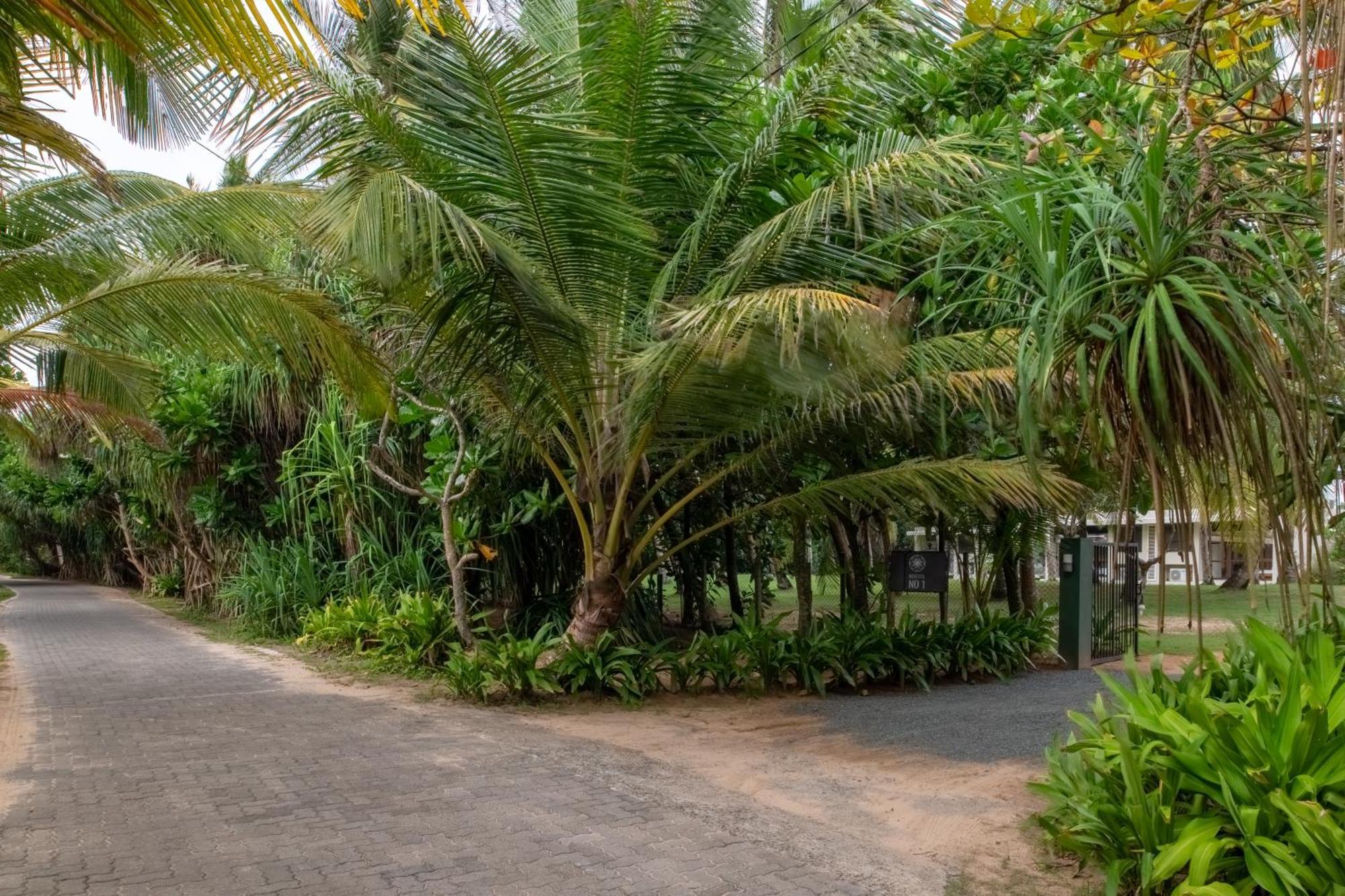 Bentota No 1 Villa Exterior foto